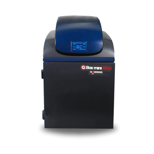 G:Box mini XRQ