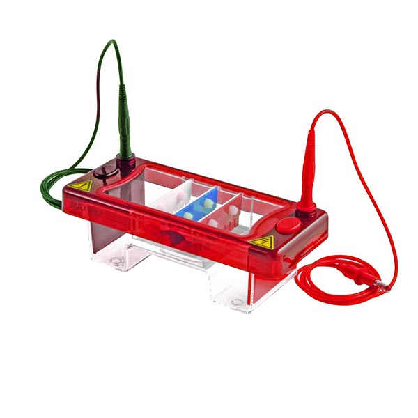 SynMini